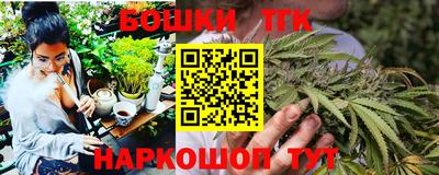 гашик Моздок