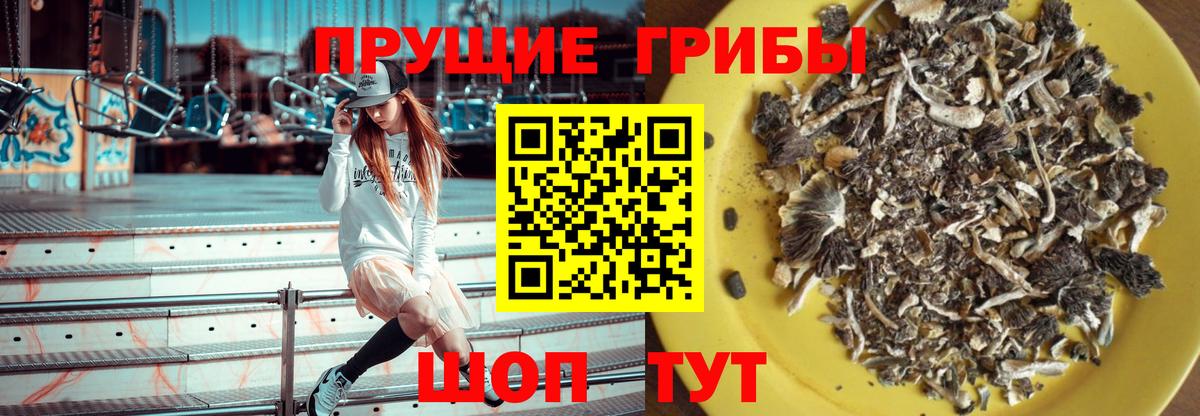 Псилоцибиновые грибы GOLDEN TEACHER Зерноград